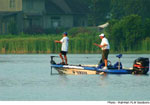 flwchamp051-2.jpg